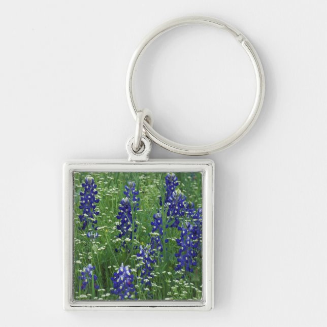 Texas, Lake Buchanan. Texas Bluebonnet and Wild Keychain (Front)