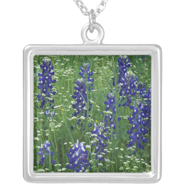 Texas, Lake Buchanan. Texas Bluebonnet and Wild Silver Plated Necklace (Front)