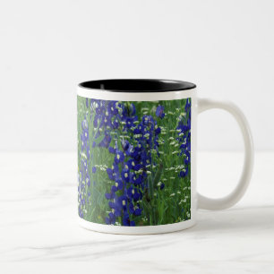Texas, Lake Buchanan. Texas Bluebonnet and Wild Two-Tone Coffee Mug