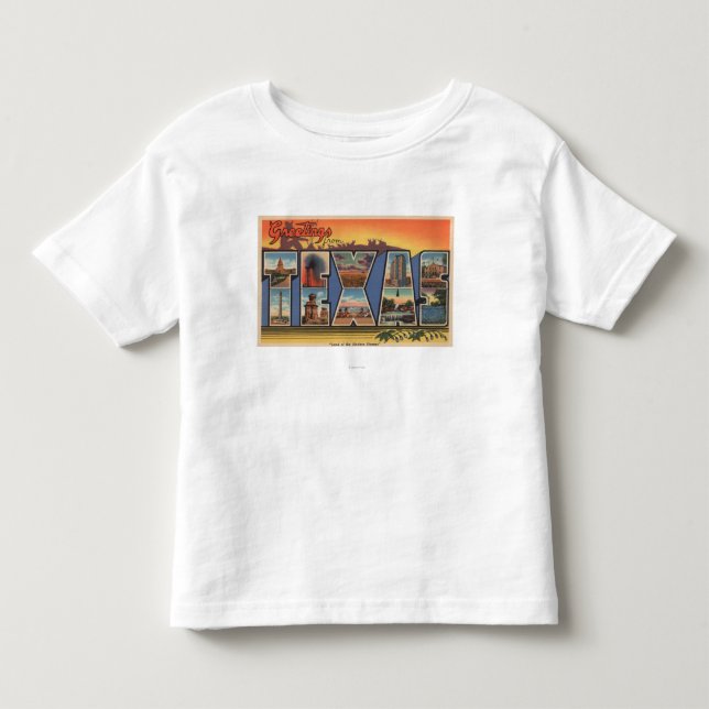 Texas (Land of the Modern Pioneer) Toddler T-shirt (Front)