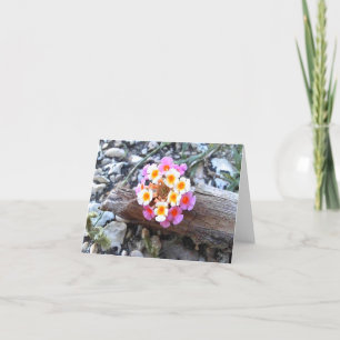 Texas Lantana Flower - Pretty Blank Greeting Card