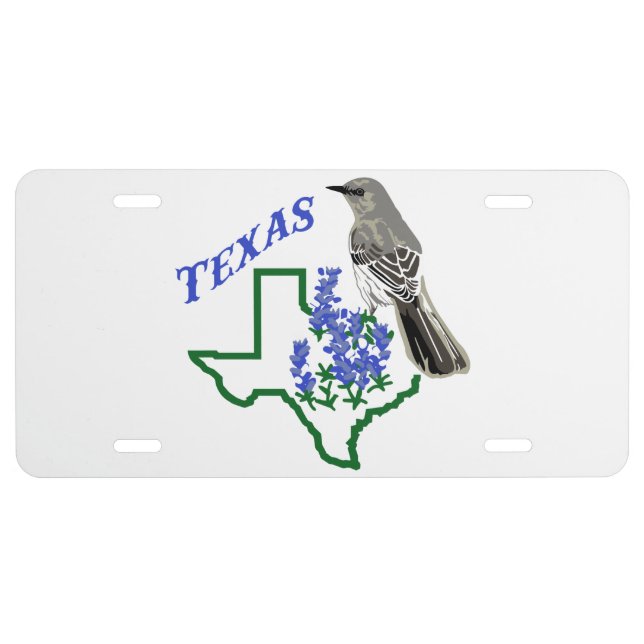 Texas License Plate (Front)