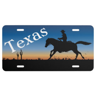 Texas License Plate