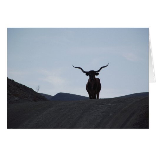 Texas Longhorn (Front Horizontal)