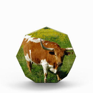 Texas Longhorn Award