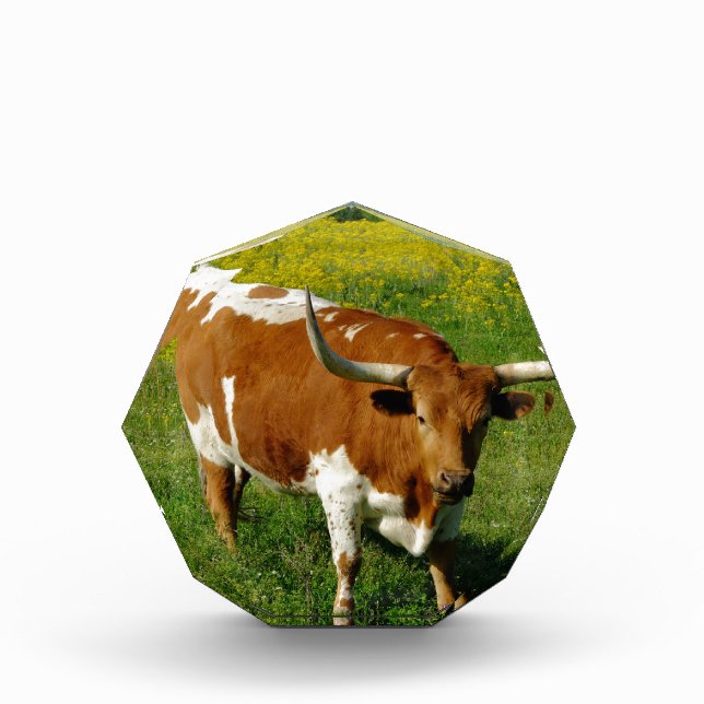 Texas Longhorn Award (Front)