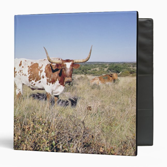 Texas Longhorn Breed (photo) 3 Ring Binder (Front/Inside)