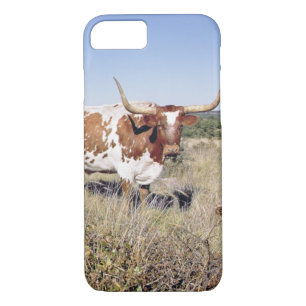 Texas Longhorn Breed (photo) iPhone 8/7 Case