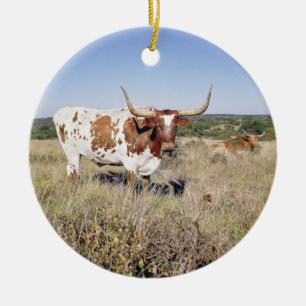Texas Longhorn Breed (photo) Ceramic Ornament