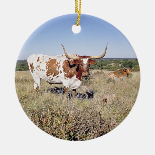 Texas Longhorn Breed (photo) Ceramic Ornament (Front)