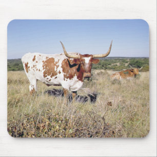 Texas Longhorn Breed (photo) Mouse Pad