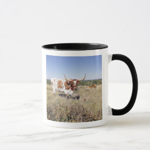 Texas Longhorn Breed (photo) Mug