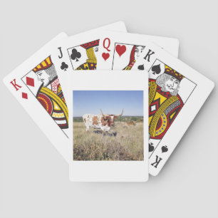 Texas Longhorn Breed (photo) Poker Cards