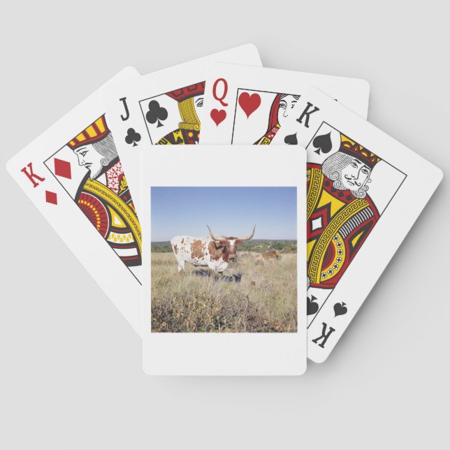 Texas Longhorn Breed (photo) Poker Cards (Back)