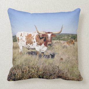 Texas Longhorn Breed (photo) Throw Pillow