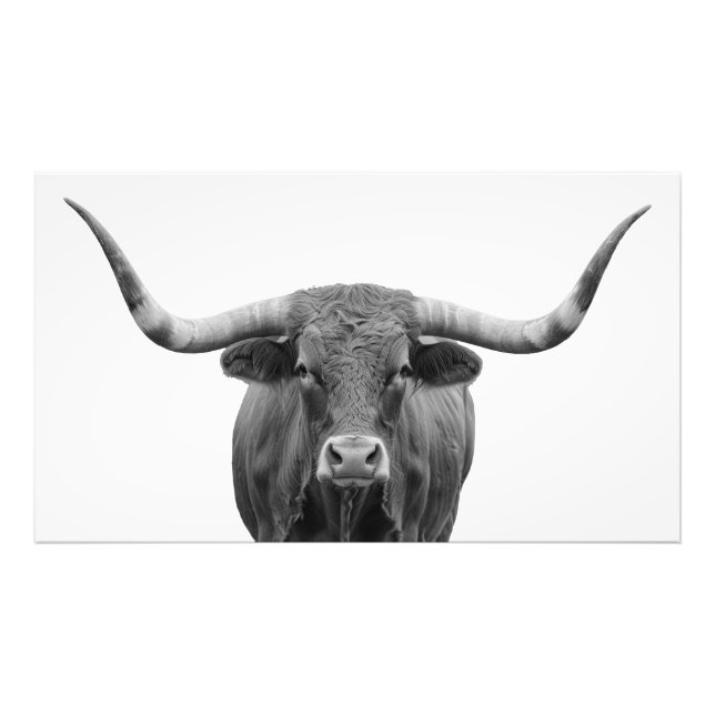 Texas Longhorn Bull Black White Photo Print (Front)