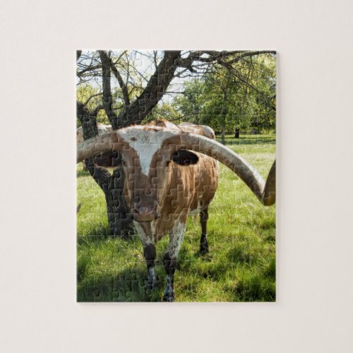 Texas Longhorn Bull Jigsaw Puzzle