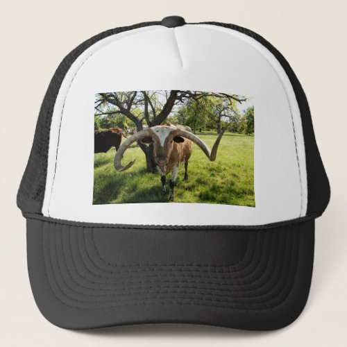 Texas Longhorn Bull Trucker Hat