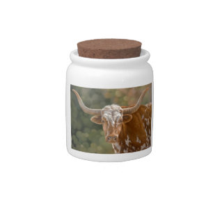 Texas Longhorn Candy Jar