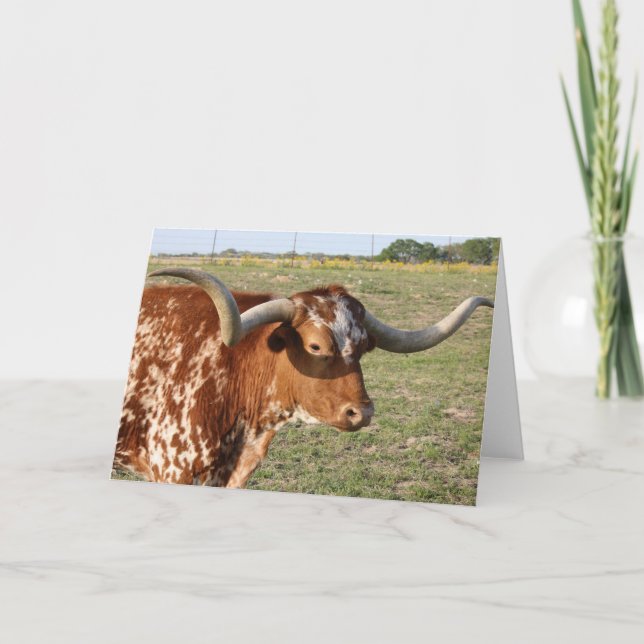 Texas Longhorn Card (Front)