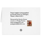 Texas Longhorn Cards (Back Horizontal)