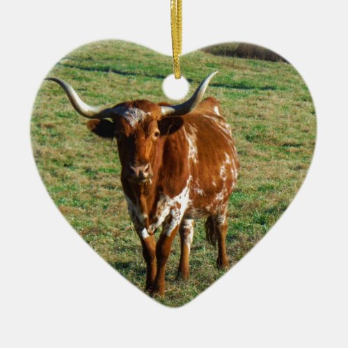 Texas Longhorn Cattle Cow  Photo Rustic Ceramic Ornament