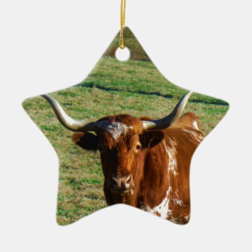 Texas Longhorn Cattle Cow  Photo Rustic Ceramic Ornament