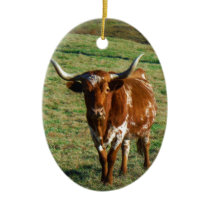 Texas Longhorn Cattle Cow  Photo Rustic Ceramic Ornament