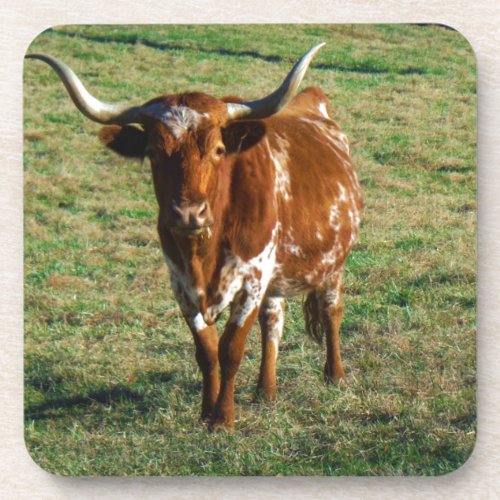Texas Longhorn Cattle Cow  Photo Rustic Drink Coaster