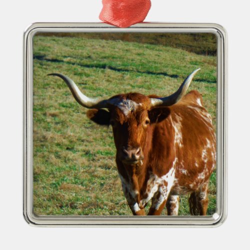 Texas Longhorn Cattle Cow  Photo Rustic Metal Ornament