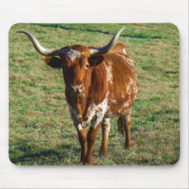 Texas Longhorn Cattle Cow  Photo Rustic Mouse Pad