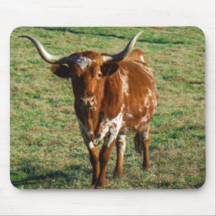 Texas Longhorn Cattle Cow Photo Rustic Mouse Pad