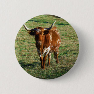Texas Longhorn Cattle Cow  Photo Rustic Pinback Button