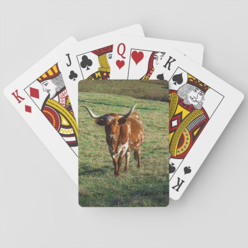 Texas Longhorn Cattle Cow  Photo Rustic Poker Cards