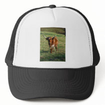 Texas Longhorn Cattle Cow  Photo Rustic Trucker Hat