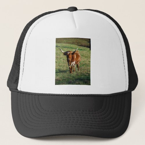 Texas Longhorn Cattle Cow  Photo Rustic Trucker Hat