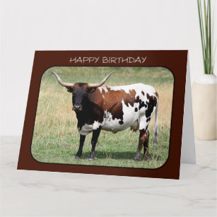 Texas Longhorn Cow Happy Birthday (Big Size) Card