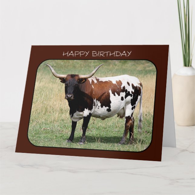 Texas Longhorn Cow Happy Birthday (Big Size) Card (Front)