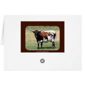 Texas Longhorn Cow Howdy from Texas (Back Horizontal)