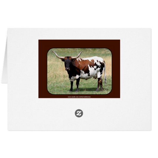 Texas Longhorn Cow Howdy from Texas (Back Horizontal)