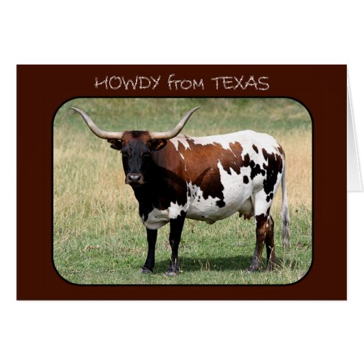 Texas Longhorn Cow Howdy from Texas (Front Horizontal)