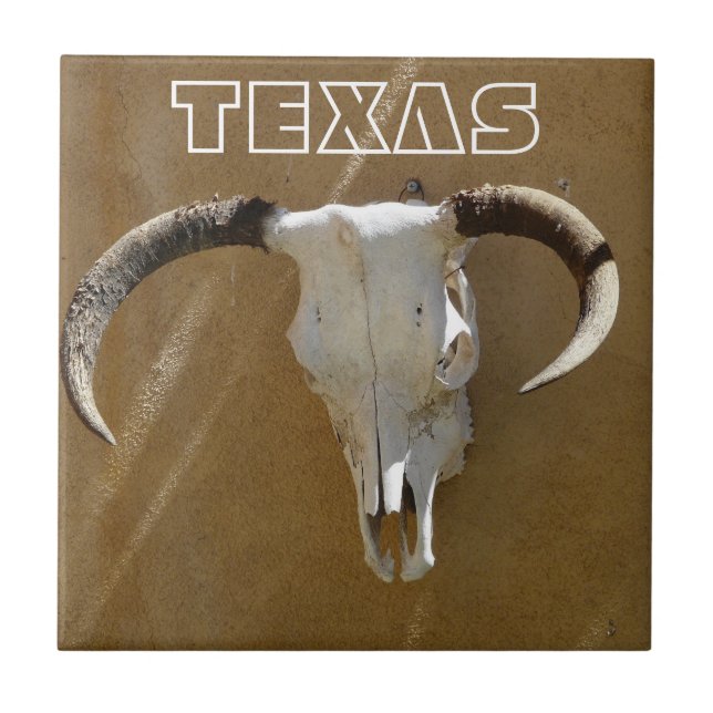 TEXAS-Longhorn Cow Skulls Tile (Front)