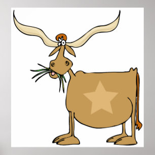 Texas Longhorn Cow with Star Poster