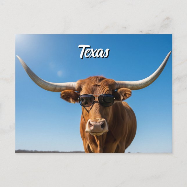 Texas longhorn in sunglasses postcard (Front)