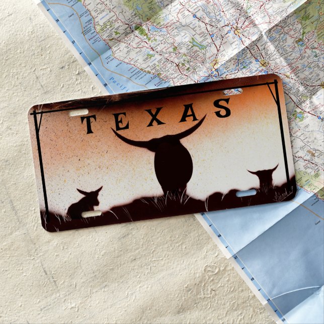 Texas Longhorn Lone Star State License Plate (In Situ)