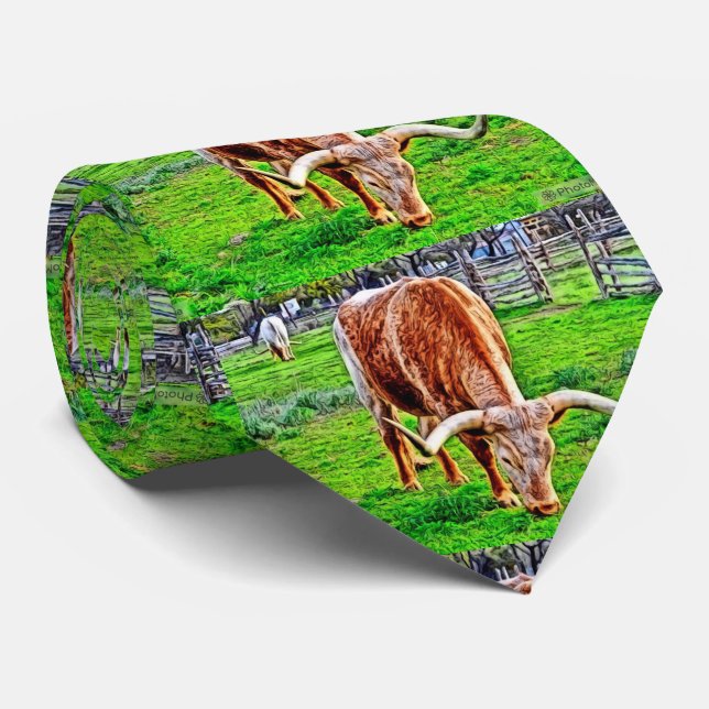 Texas Longhorn Men's Tie (Rolled)