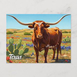 Texas longhorn postcard