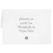 Texas Longhorn Steer Cards (Back Horizontal)