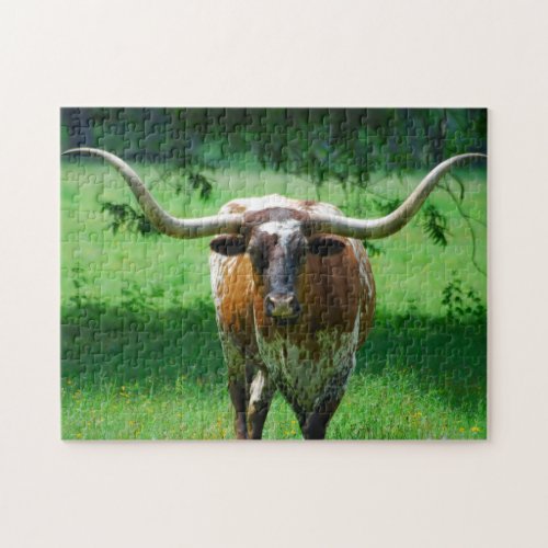 Texas Longhorn steer on western ranch Jigsaw Puzzle