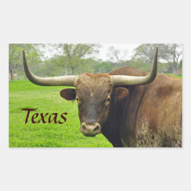Texas Longhorn "Texas" Sticker (Front)